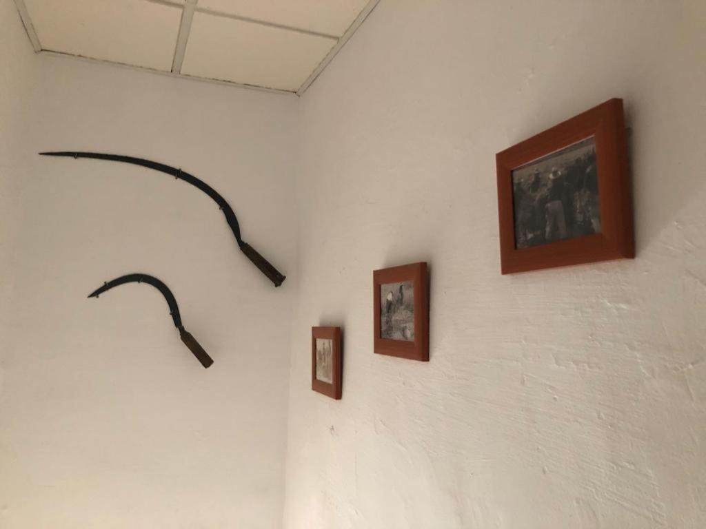 Masia Tarranc Els Muntells Экстерьер фото